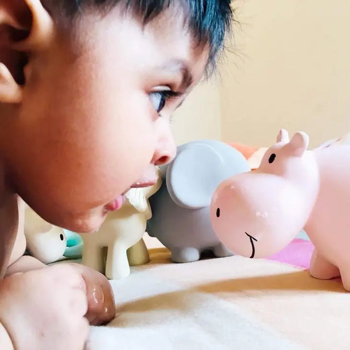 Tikiri Toys Hippo - Natural Rubber Teether, Rattle & Bath Toy