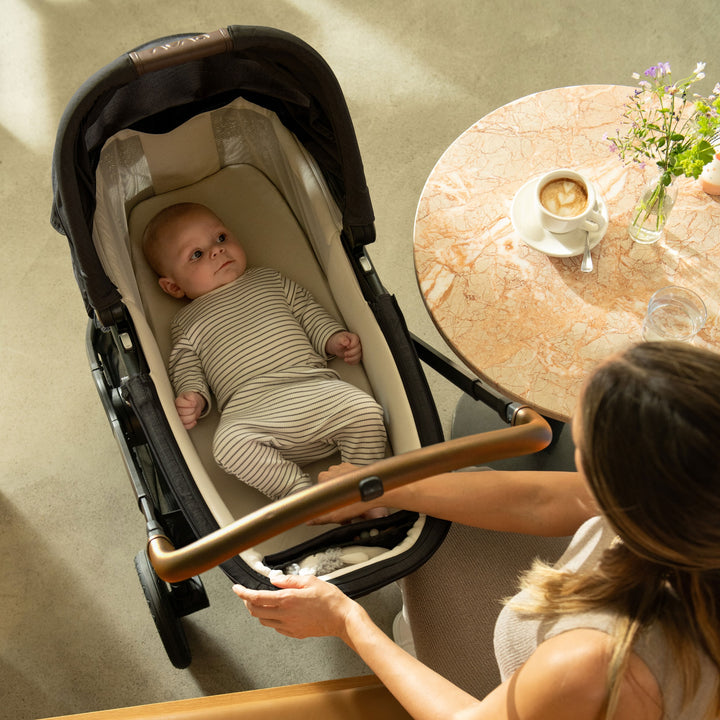 Nuna TRIV & SWIV Bassinet + Stand
