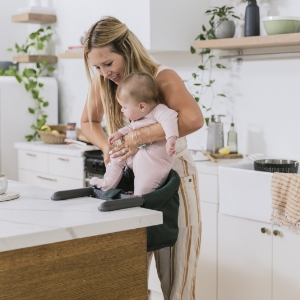 Inglesina Fast Chair Hook On