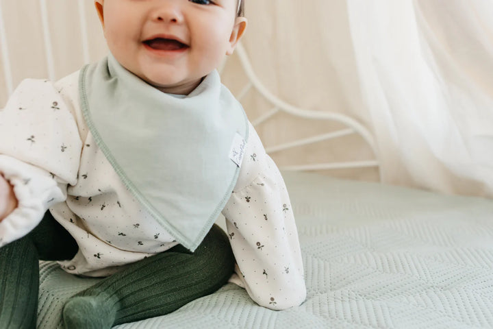 Baby Bandana Bibs - Rex
