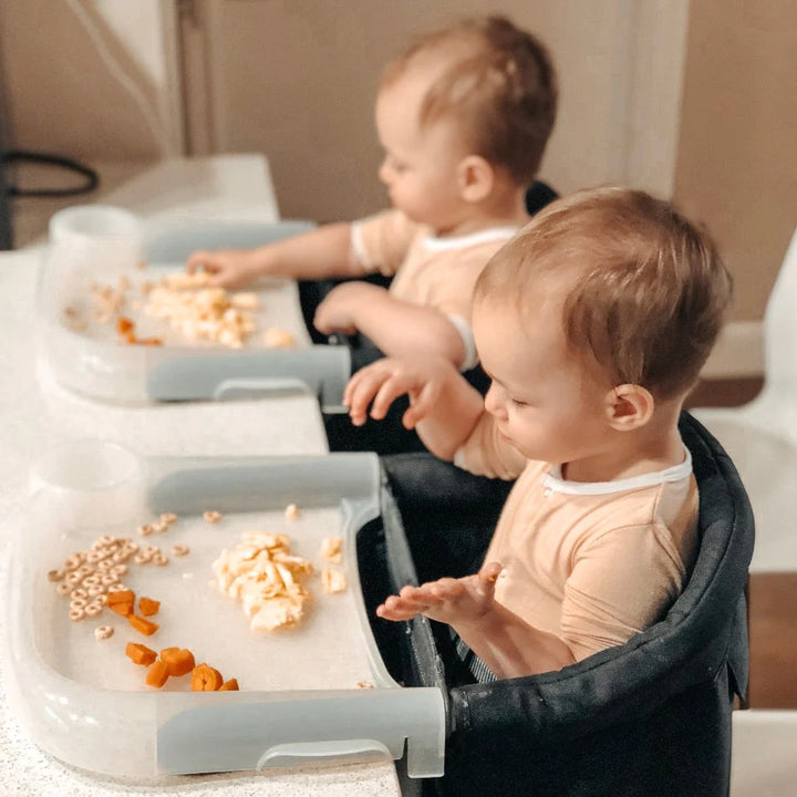 Inglesina Fast Chair Hook On