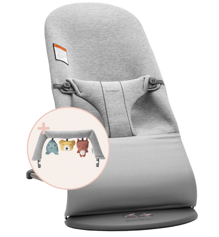 Baby Bjorn Bouncer Bundle with Toy