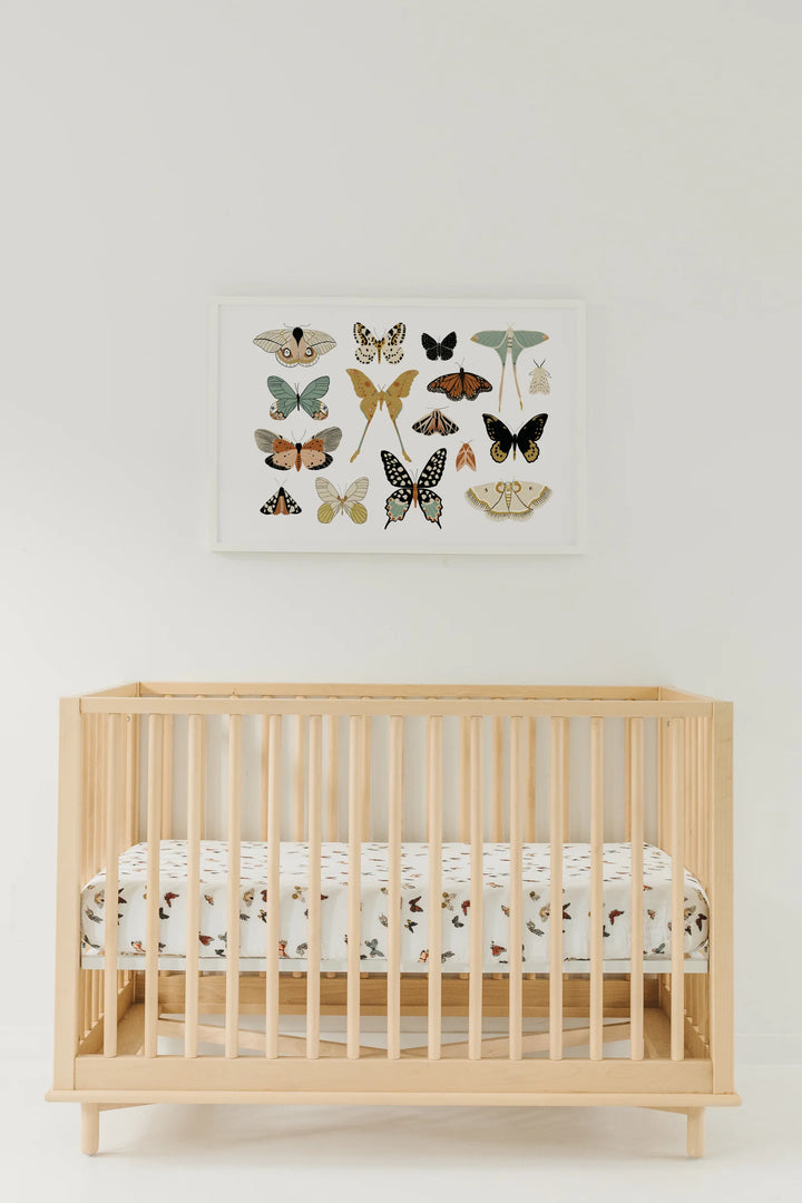 Clementine Kids Butterfly Migration Crib Sheet