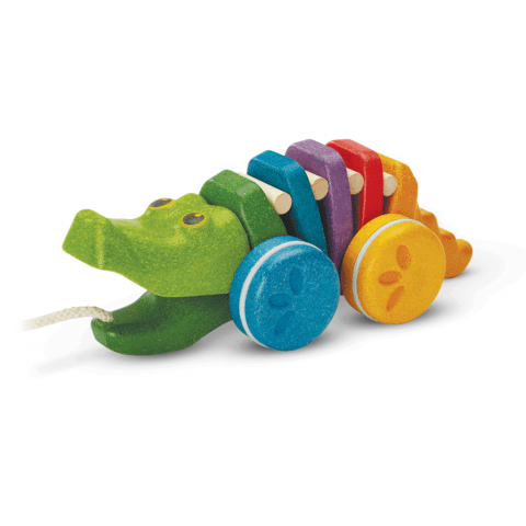 Rainbow Alligator Pull Toy