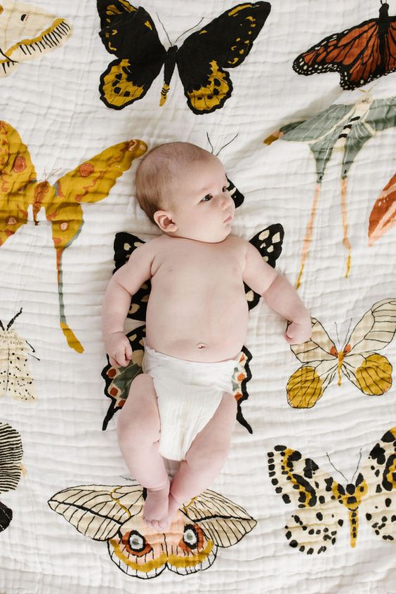 Clementine Kids Butterfly Collector Quilt