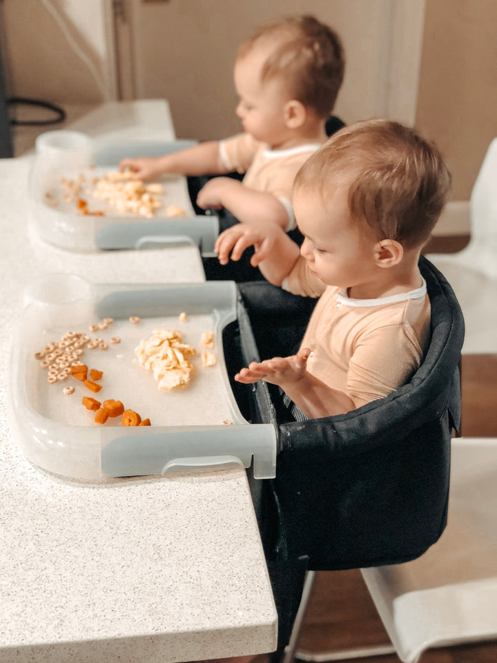 Inglesina Fast Chair Tray Plus