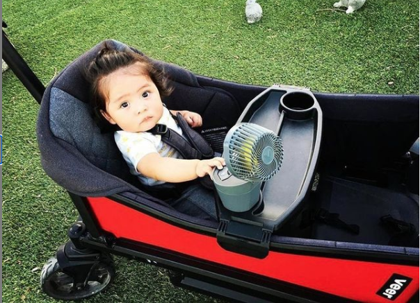Veer Misting Fan