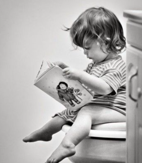 Baby Bjorn Toilet Training Seat