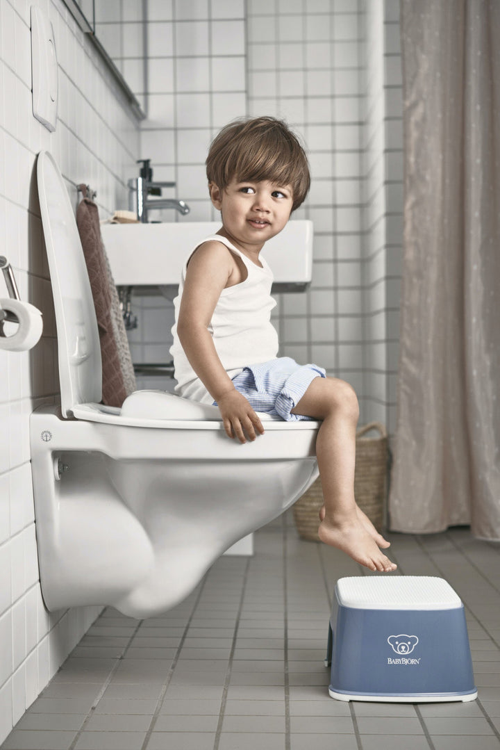 Baby Bjorn Toilet Training Seat