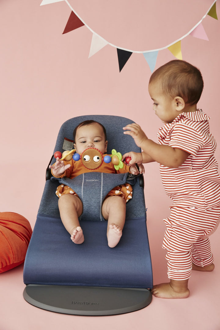 Baby Bjorn Bouncer Bliss