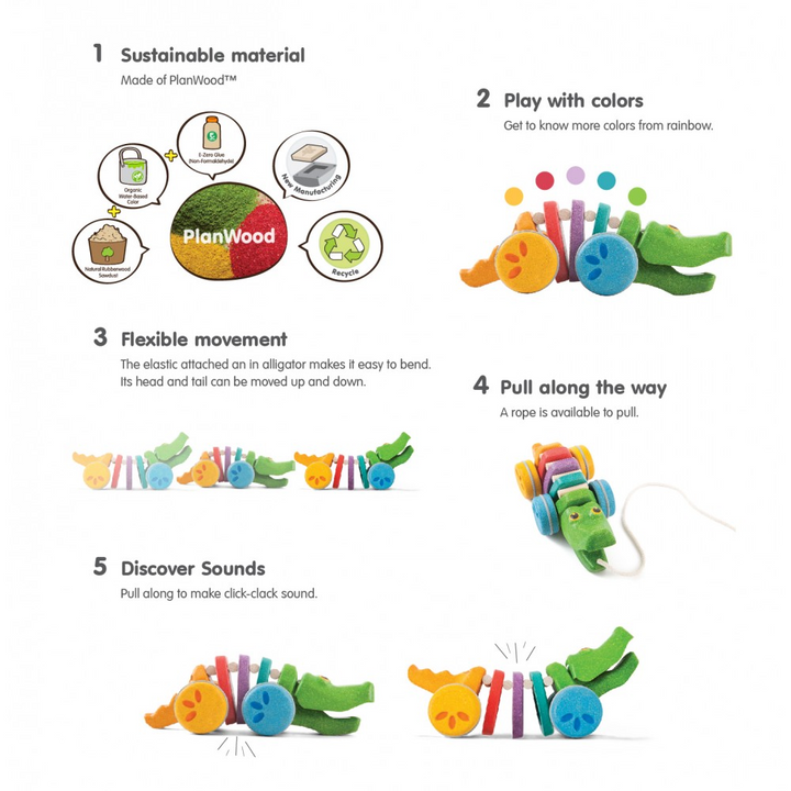 Rainbow Alligator Pull Toy