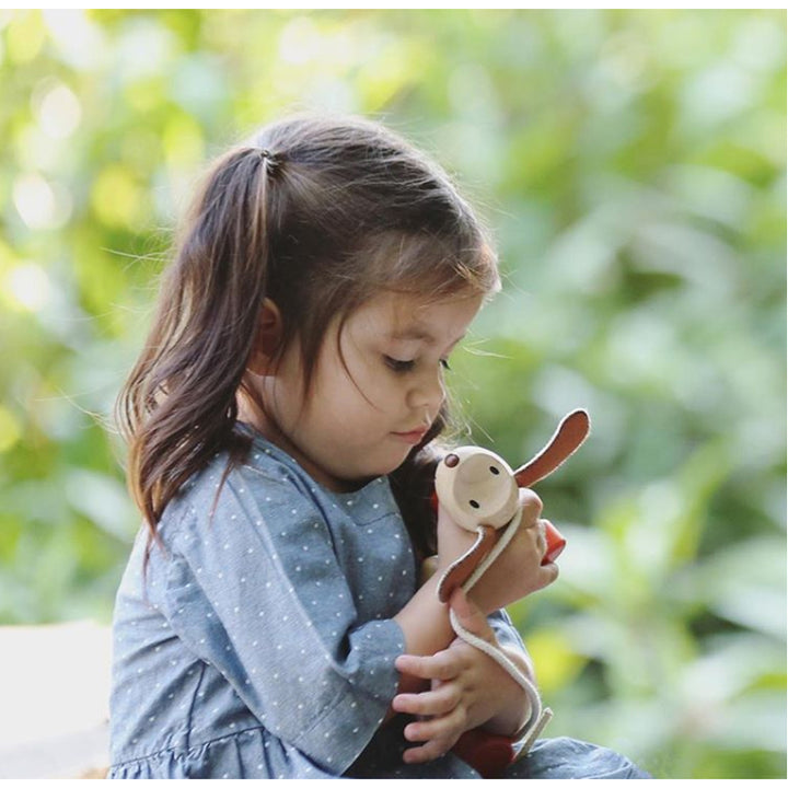 Plan Toys Happy Puppy