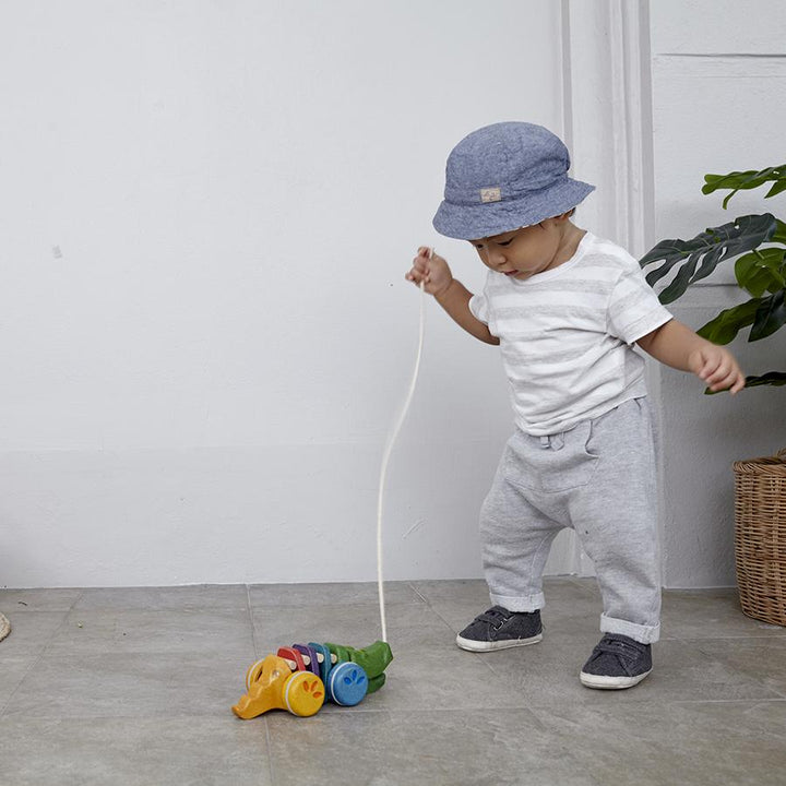 Rainbow Alligator Pull Toy