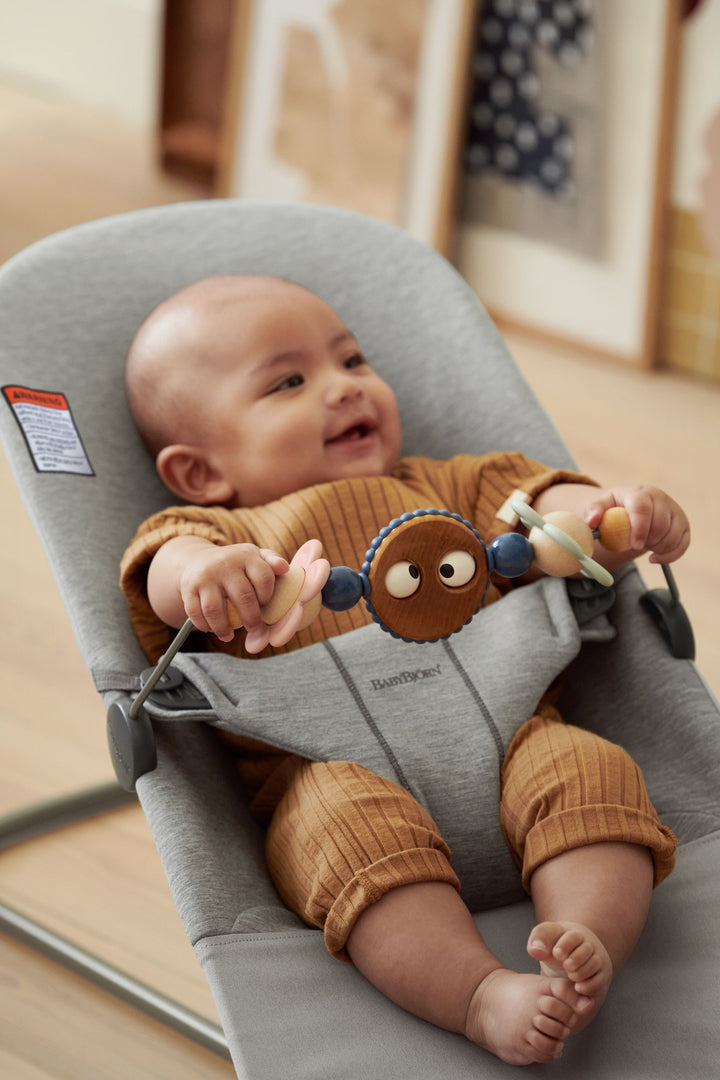 Baby Bjorn Bouncer Bliss
