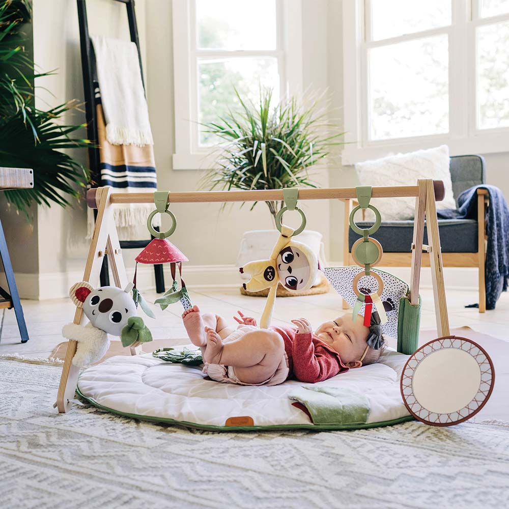 Activity Gym + Playmats