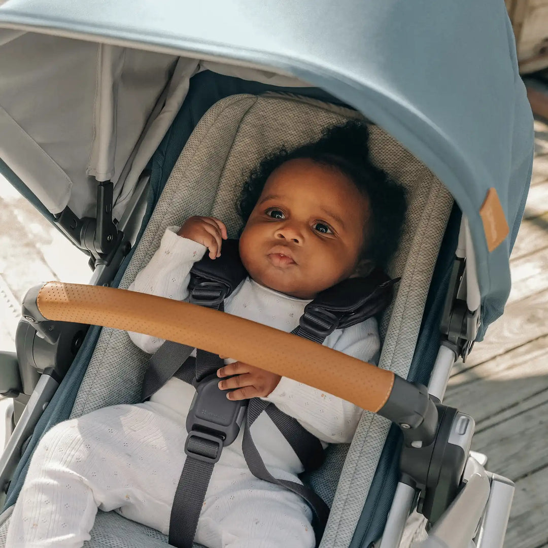 uppababy stroller second seat UPPAbaby New Infant SnugSeat – Baby Grand