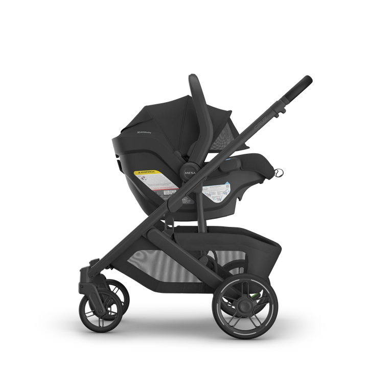 UPPAbaby Cruz V3 Stroller