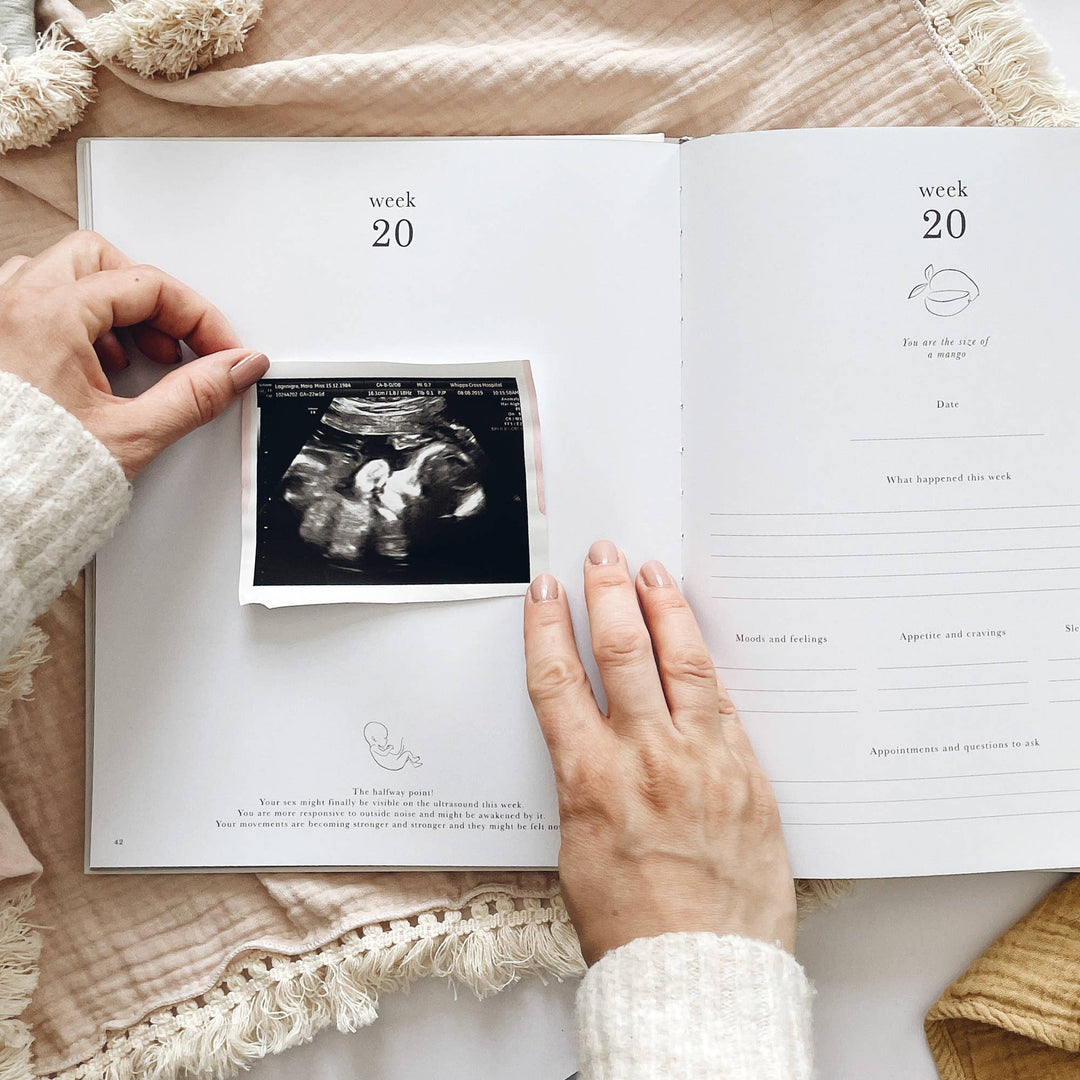 Blush and Gold Pregnancy Journal  -  Ivory