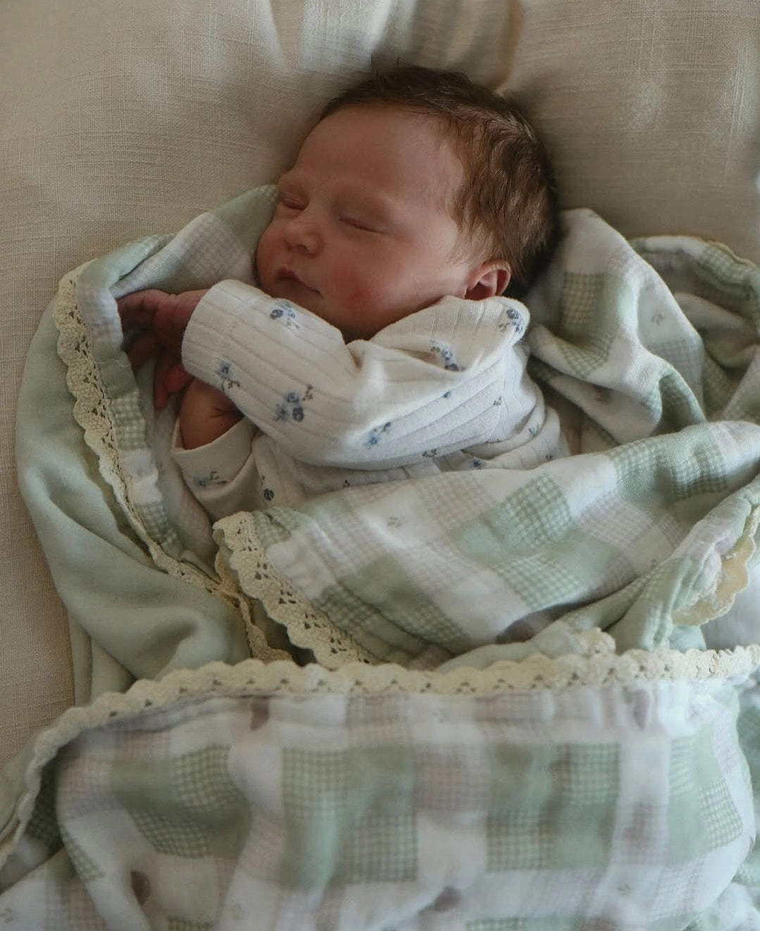 Little Mallard Duck Quilted 6 Layer Gauze Blanket