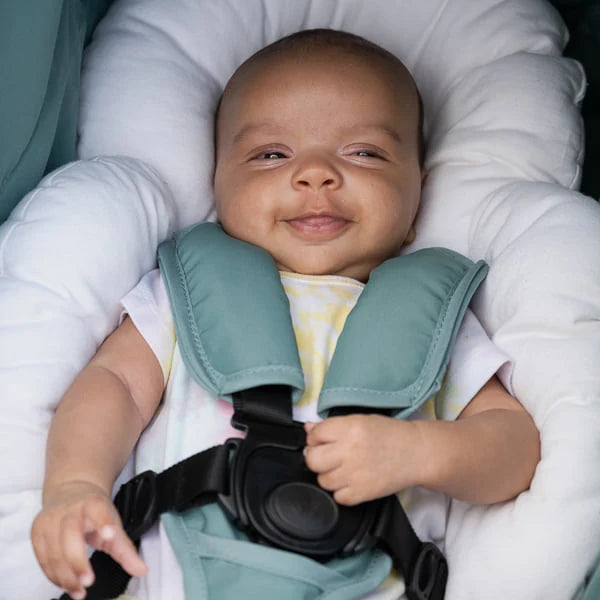 Bumbleride Indie All-Terrain Stroller