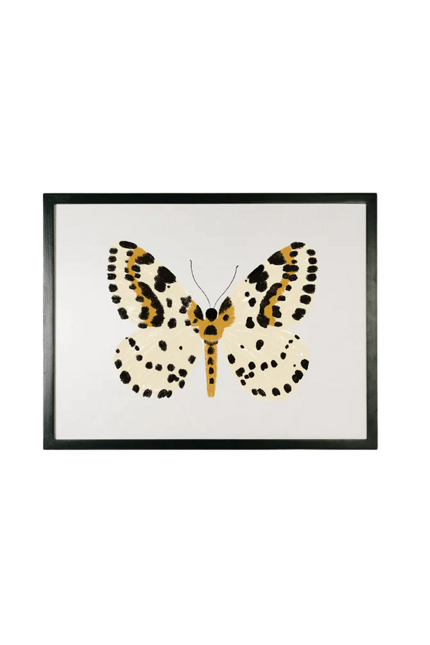 Monarch Butterfly Framed Art