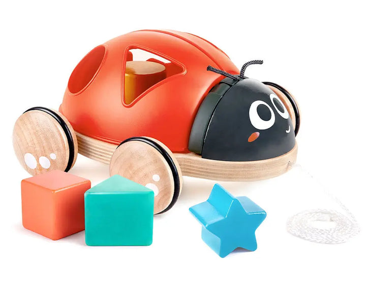 Hape Shape-Sorter Ladybug