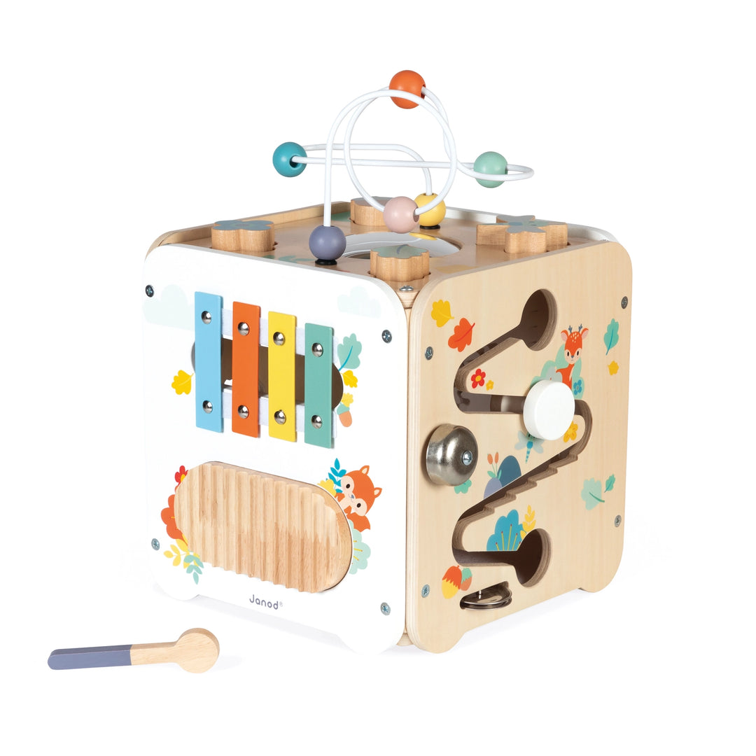 Janod Pure Large Multi-Activity Cube