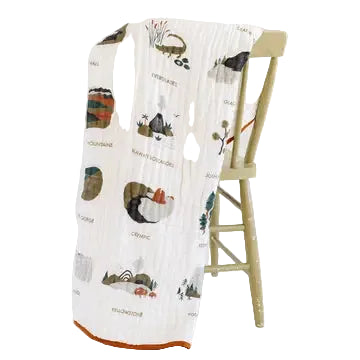 Clementine Kids National Parks II Quilt