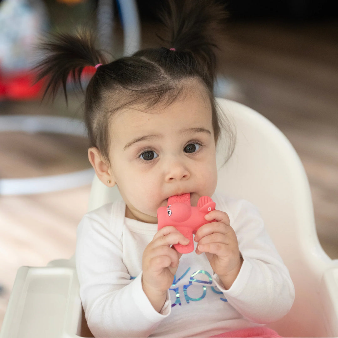 Clever Baby Teether & Dispenser Duo