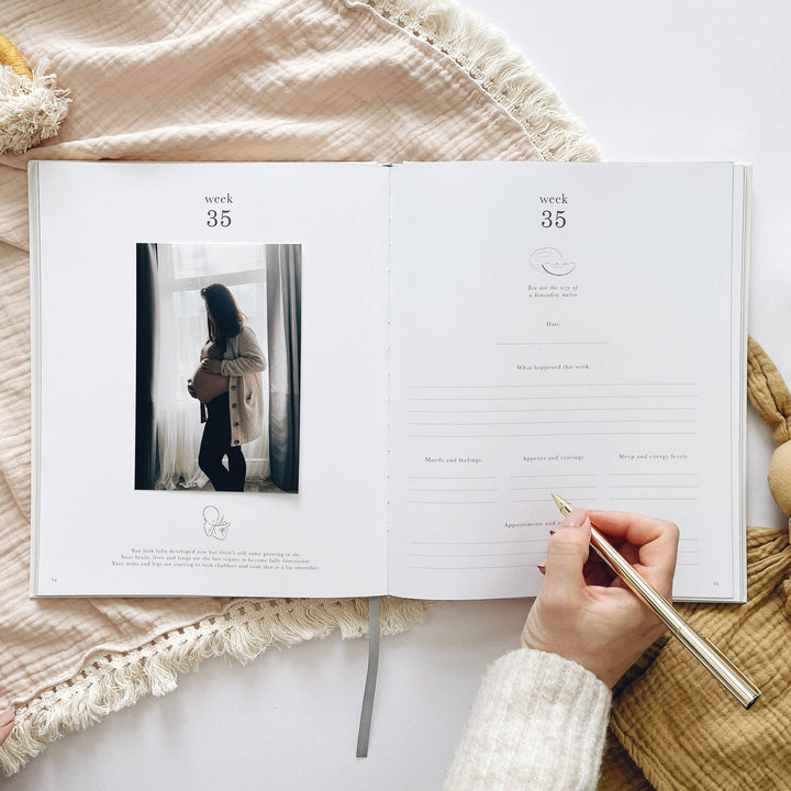 Blush and Gold Pregnancy Journal  -  Ivory
