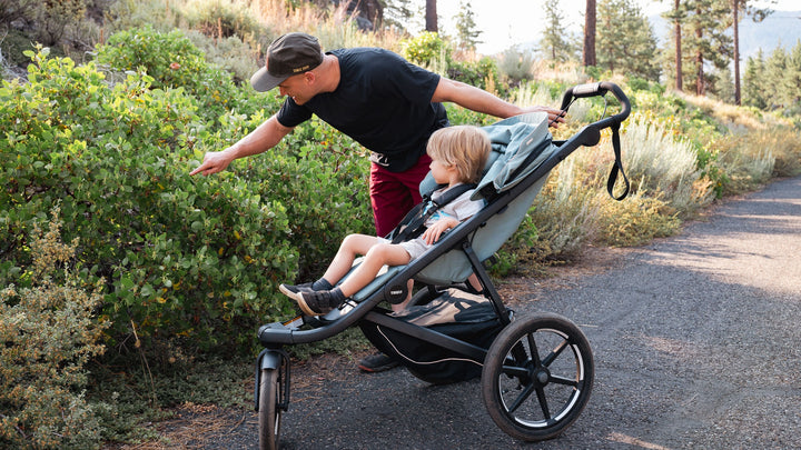 Thule Urban Glide 3 All-Terrain Stroller