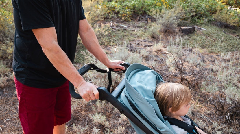 Thule Urban Glide 3 All-Terrain Stroller