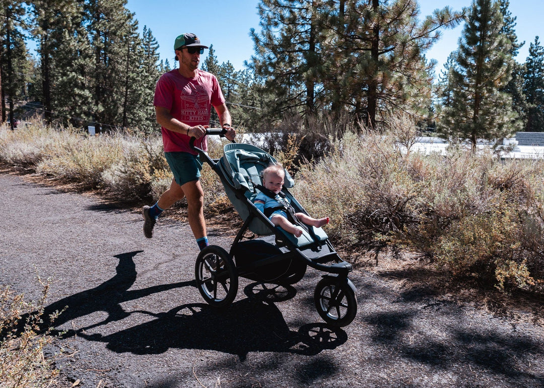 Thule Urban Glide 3 All-Terrain Stroller