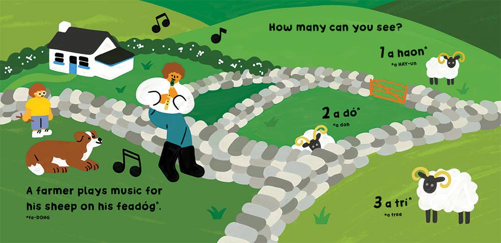 Our World: Ireland Board Book