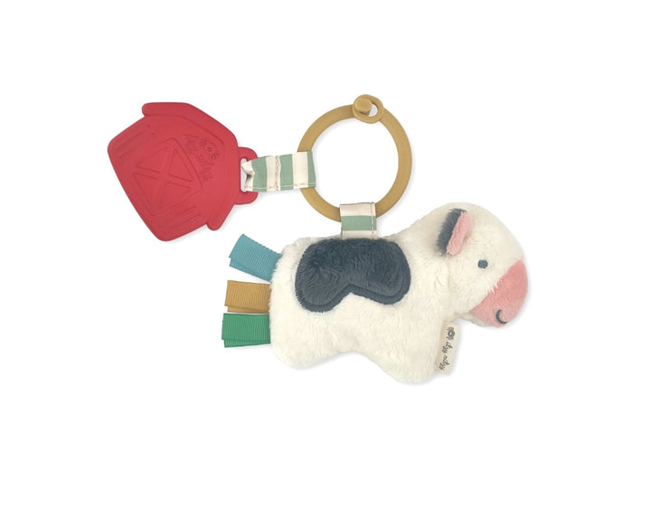 Itzy Ritzy Itzy Pal Plush + Teether