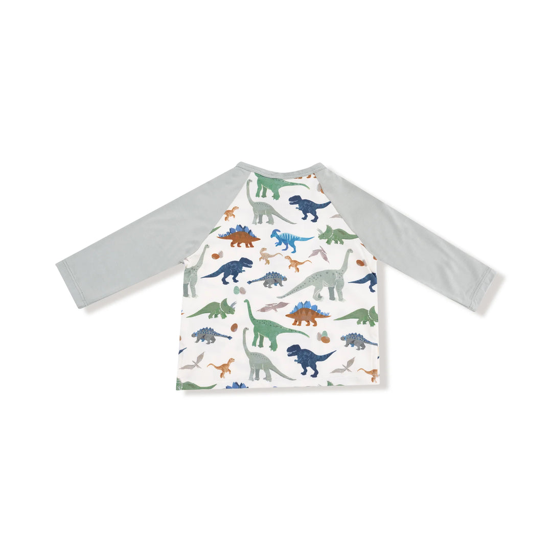 Washy Dinos Long Sleeve Raglan