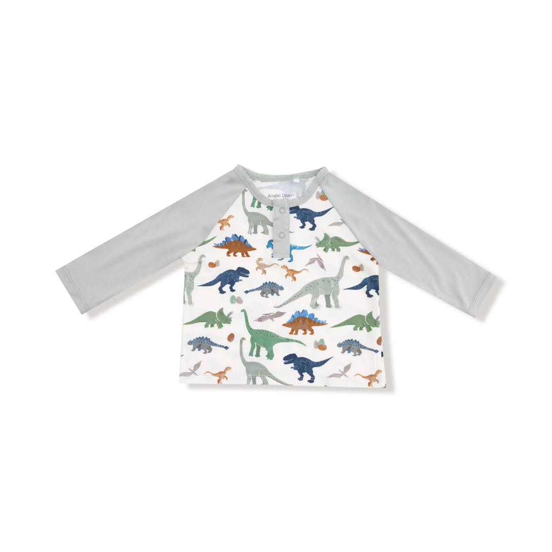 Washy Dinos Long Sleeve Raglan