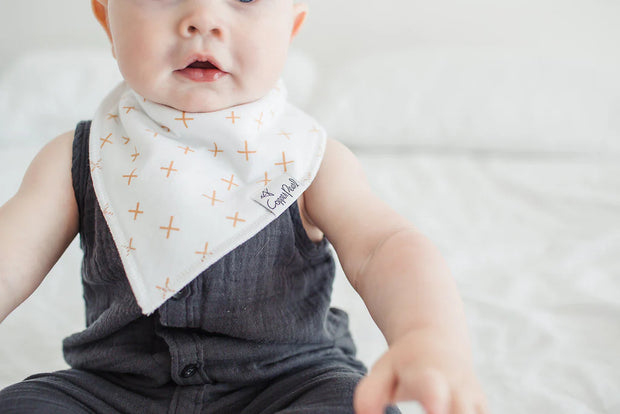 Baby Bandana Bibs - Chip