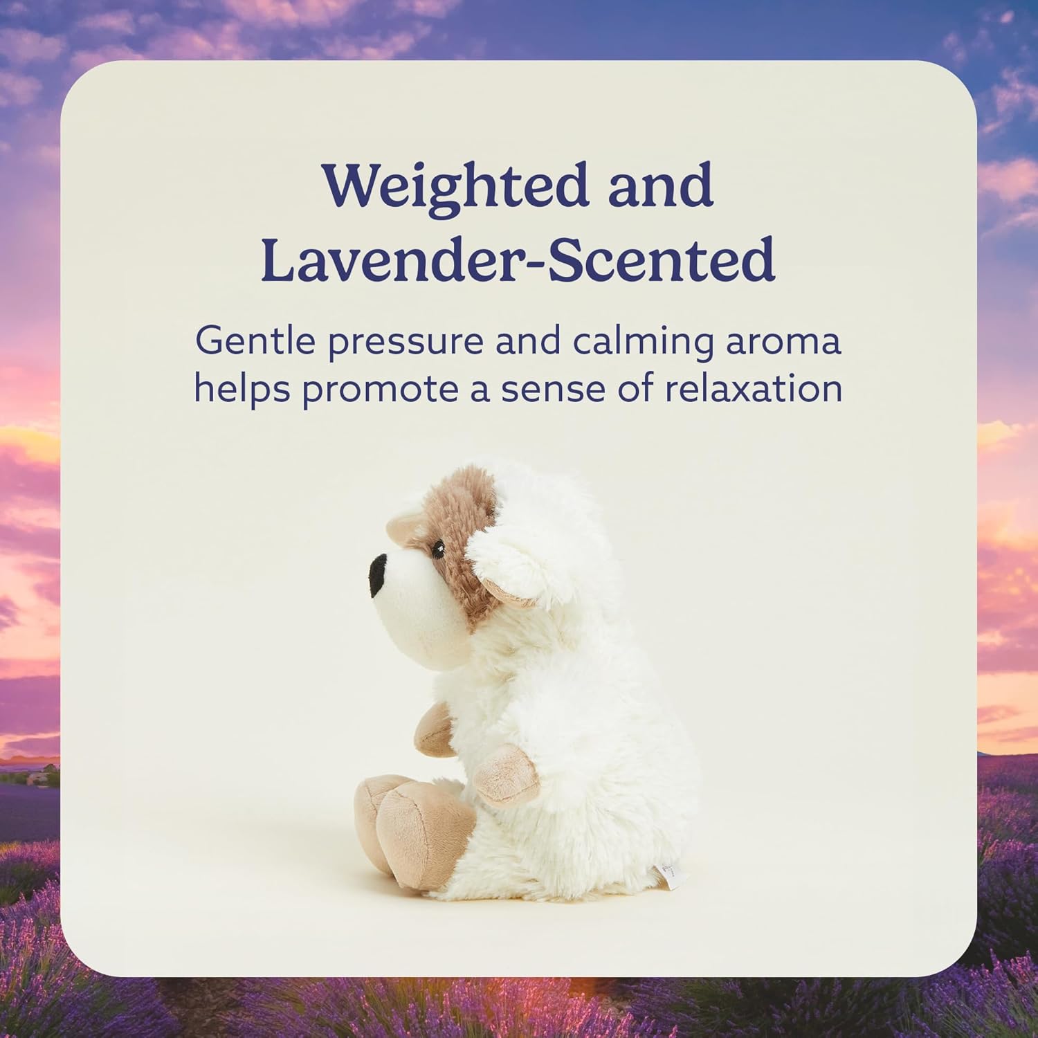 Warmies Junior Puppy Plush – Baby Grand