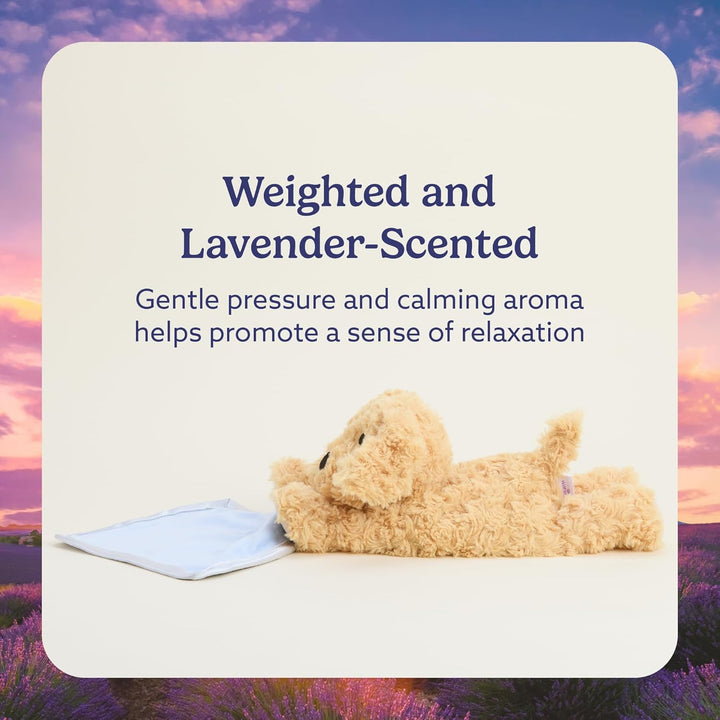 Warmies Golden Dog Plush