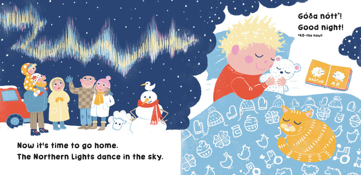 Our World: Iceland Board Book
