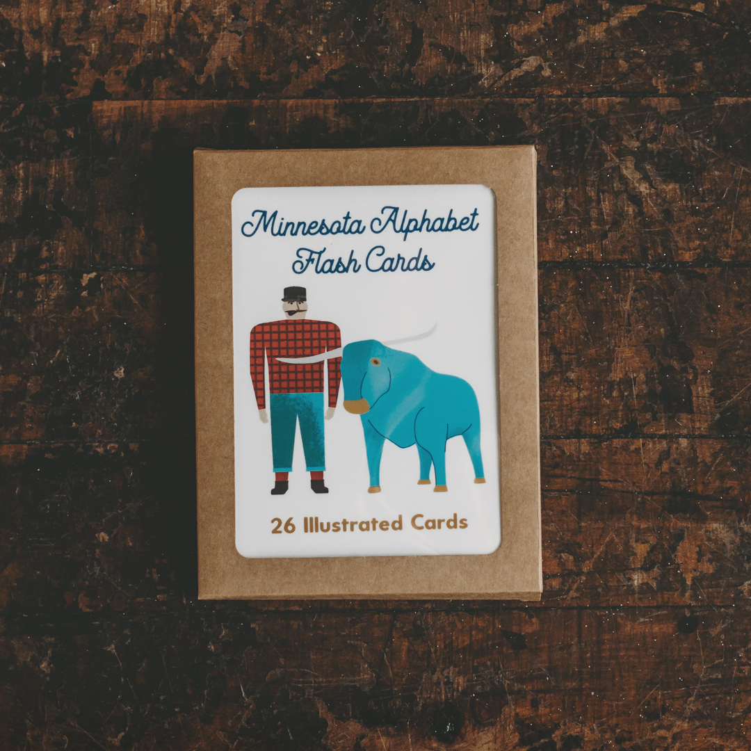 Children's Minnesota Alphabet Flash Cards