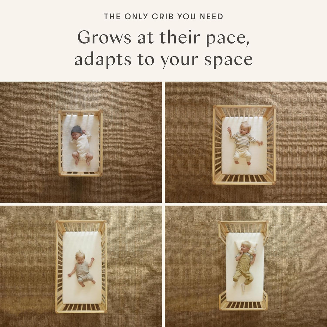 Babyletto Pogo 8-in-1 Convertible Crib with All-Stages Conversion Kits