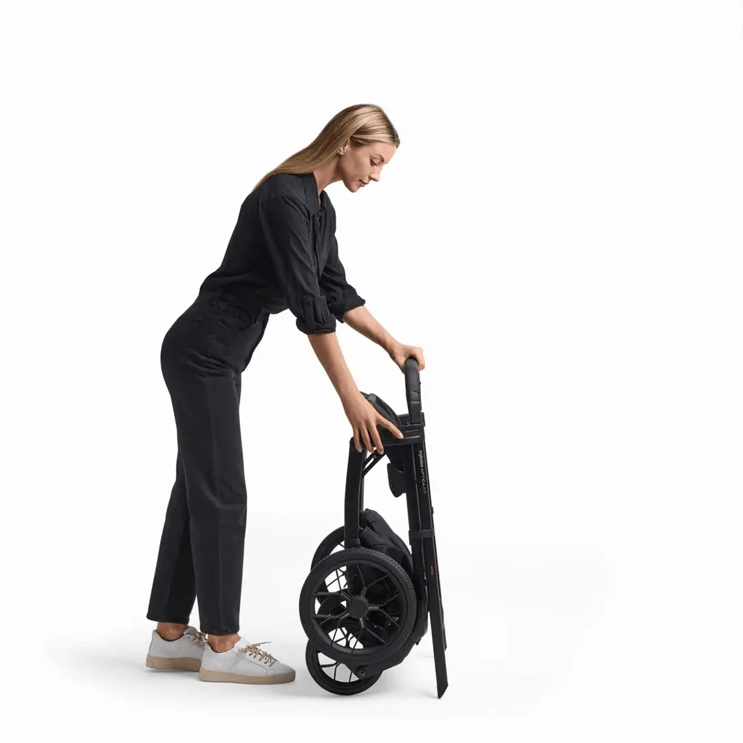 Inglesina Aptica XT Stroller & Bassinet+Stand