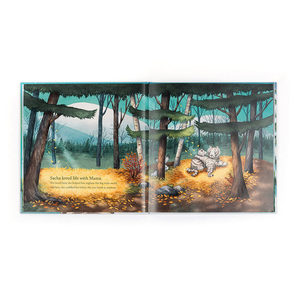 JellyCat Book Sacha and the Most Wonderful Thing