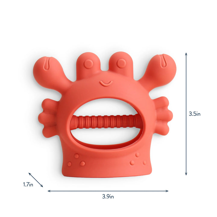 Itzy Ritzy Bitzy Grip Silicone Teether