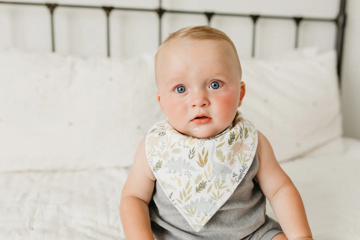 Baby Bandana Bibs - Rex