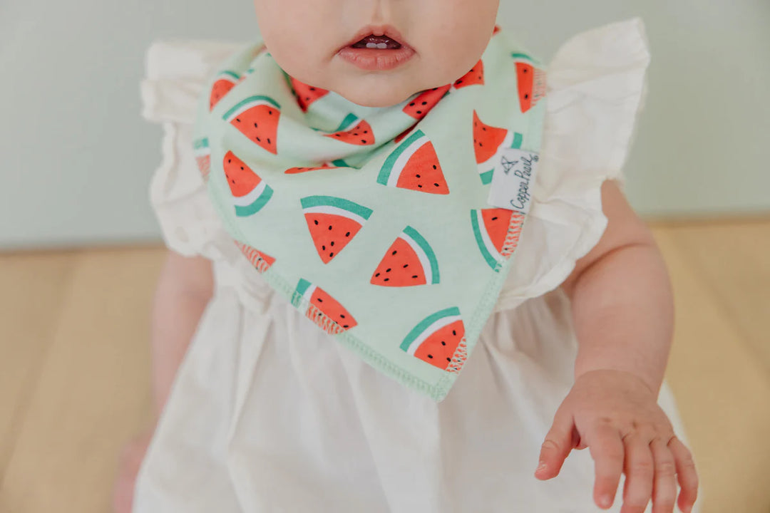 Baby Bandana Bibs - Clementine