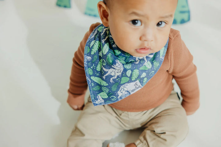 Baby Bandana Bibs - Jurassic