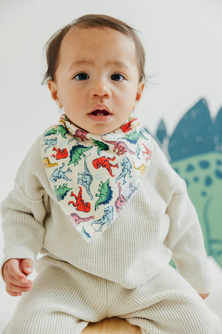 Baby Bandana Bibs - Jurassic